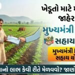 CM Kisan Sayay Yojana Gujrat