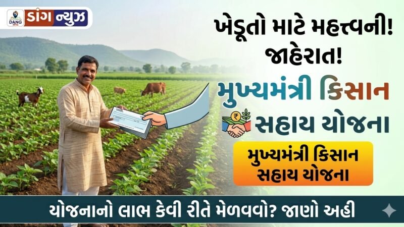 CM Kisan Sayay Yojana Gujrat