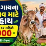 Dairy Schemes Gujrat