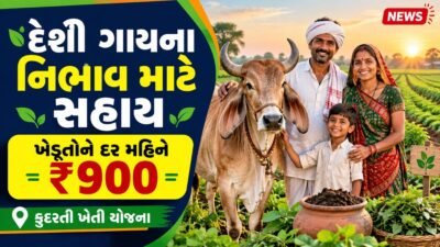 Dairy Schemes Gujrat