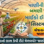 Micro Irrigation Scheme Gujrat