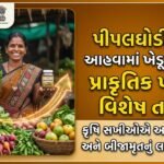 Natural Farming Ahwa Dang Gujrat