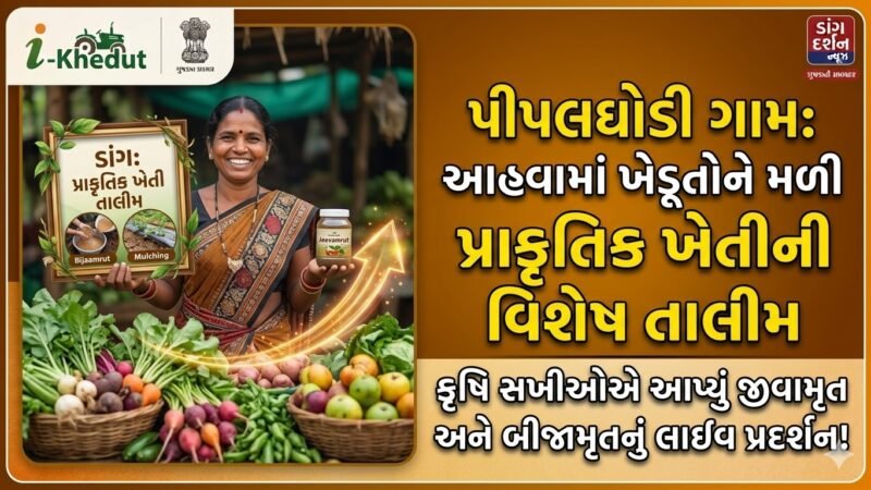 Natural Farming Ahwa Dang Gujrat