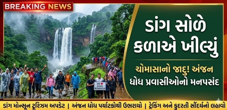 ચોમાસામાં ડાંગ પ્રકૃતિ સોળે કળાએ ખીલી, અંજન ગુફા અને ધોધ જોવા પ્રવાસીઓની ભારે ભીડ