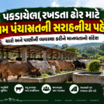 gram-panchyat-efforts-to-serve-cattles