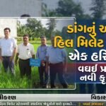 નવસારી કૃષિ યુનિવર્સિટીના કુલપતિ ડૉ. આર. એમ. નાઈકે વઘઈના હિલ મિલેટ રિસર્ચ સ્ટેશનની લીધી મુલાકાત