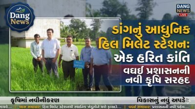 hill-millet-station-waghai