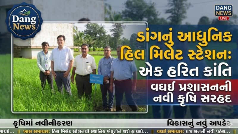 hill-millet-station-waghai